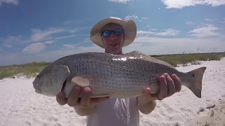 Florida Inshore Fishing - Missed Cobia & Redfish Mayhem