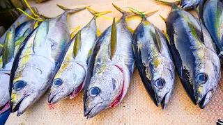 Yellowfin TUNA Frenzy!!! Catch Clean Cook!