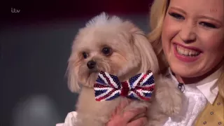Trip Hazard & Lucy-Britain's Got Talent 2016 Semi-Final 5