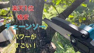 楽天1位充電式【チェーンソー】安い物でもパワーがすごい！