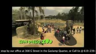 The World Famous San Diego Zoo Tour