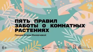 «Пять правил заботы о комнатных растениях». Лекция Елены Михеечевой