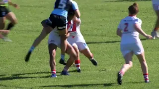 Highlights Tarsha Gale 2021 Dragons  vs Sharks