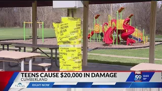 Vandalism spree sees teens do $20,000 in damages to a Cumberland park