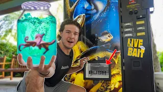 DON'T BUY LIVE FISH THRU VENDING MACHINE... *scariest pet I've ever owned*
