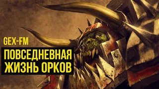 Повседневная жизнь орков. Warhammer 40000. Gex-FM @Gexodrom