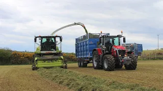 Silage 2021 ~ Claas 990, Massey Ferguson 8S.225, 7720s, 7718s