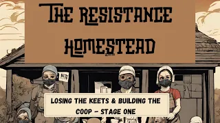 Losing the Keets & Building the Coop Stage One