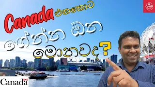 කැනඩාවට එනකොට ගේන්න ඕන මොනවද? / Moving to Canada? You NEED This