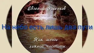 Евгений Косенков. Альбом как много ложной чистоты. Христианские песни.