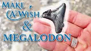 His 10 y.o. Son Wanted to Find a Megalodon Tooth...Can We Make That Happen!?