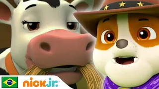 PAW Patrol | Vacas da rebelião | Nick Jr. em Português