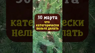 30 марта народный праздник Алексей Теплый, человек Божий. Что нельзя делать. Народные приметы