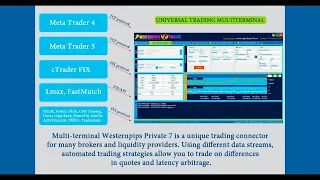 Liquidity Providers Forex Arbitrage FIX API Trading Platform