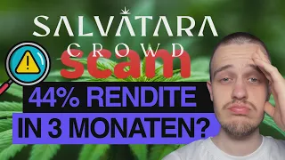 Ist Salvatara Crowd ein Scam? | Das bessere JuicyFields? | Diese Dinge musst du wissen!