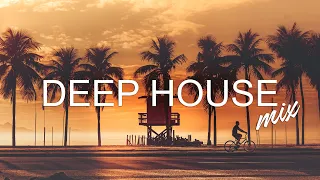 Avicii, Calvin Harris, Kygo, Alok, Robin Schulz, David Guetta, Gryffin   Summer Vibes Mix #357