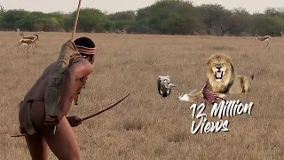 Reveal: Living on the Edge - The San tribe's epic battle...    #animals #animalsofyoutube