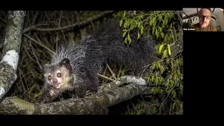 Discover Madagascar with Nick Garbutt, 12 Mar 2024