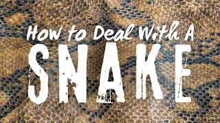 How to Deal With a Snake | Empowerment Church NOLA | Torrey Fingal (9A)