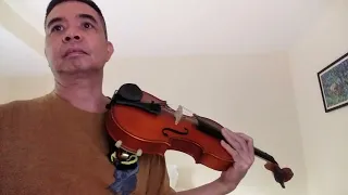 Learning Violin at Age 50 - Day 120