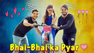 Bhai Bhai ka pyar || Bhai bahen ka pyar || themridul || Nitin