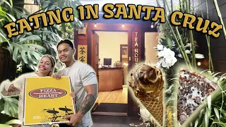 MUST TRY FOOD IN SANTA CRUZ CALIFORNIA | Tea House Spa | Santa Cruz Food Tour and Vlog