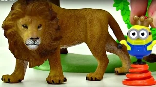 Çocuk filmi - Minyon bize vahşi hayvanları anlatıyor