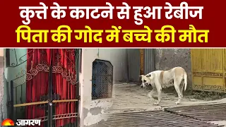 Dog Attack in Ghaziabad: कुत्ते के काटने से मासूम को हुआ Rabies, पिता की गोद में बच्चे की मौत