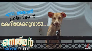 എടാ, അതവൻ പ്രാർത്ഥിക്കാൻ കേറിയേക്കുവാടാ...