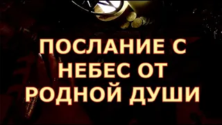 🔔🧚‍♂️ПОСЛАНИЕ С НЕБЕС ОТ РОДНОЙ ДУШИ🙏 Таротерапия #tarot#shorts#gadanie#таросегодня#тароонлайн