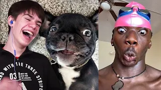 Try Not to Laugh Challenge - Funniest Tik Tok Edition