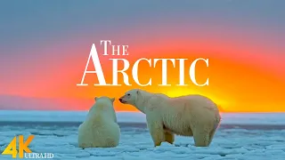 The Arctic 4K (UHD) - Relaxing Piano Music Along With Beautiful Nature Videos | 4K Relaxation Film