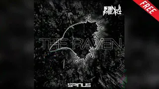 Spinus - The Raven (B3nji Breaks MIX)