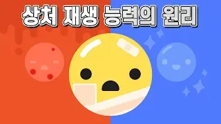 피부상처는 어떤 원리로 치유되고 재생되는 걸까