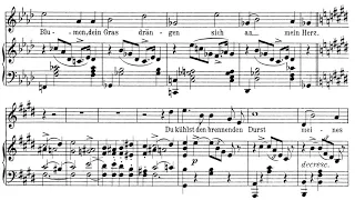 Ganymed(Schubert)가곡반주 Piano Accompaniment
