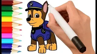 PAW Patrol: Learning to draw Chase (Щенячий патруль: Учимся рисовать Гонщика)