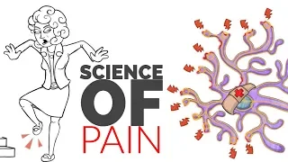 What Is pain? The Science Of Pain In 90 seconds.