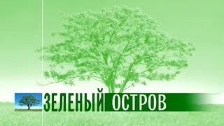 Зелёный остров Эфир: 24-08-2021