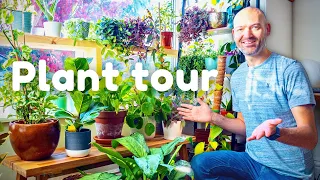My House is FULL of Gorgeous Plants! Plant Tour