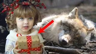 Мужчина связал и выбросил КОРМЯЩУЮ волчицу в лесу ради подарка для своей ДОЧЕРИ