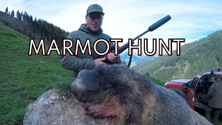 Marmot Hunt / Murmeljagd / Chasse Aux Marmottes / Caccia Alle Marmotte / Polowanie Na świstaka /2022