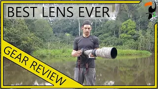 Photography Equipment - The Best Wildlife Lens Ever - Canon 600mm f/4 L IS II