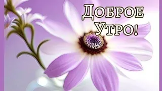 Счастья,Добра, Удачного дня😊 Доброе утро💖