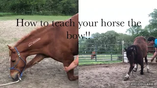 How to teach your horse the bow by picking up the hoof!!😁