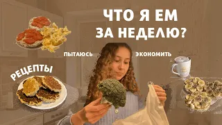 Что я ем за неделю? | простые рецепты, экономия и немного учебы : )