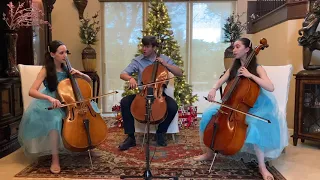 Shostakovich Waltz No. 2 - Cello Trio