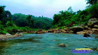 water sound for sleep , calming river, birds chirping in the forest, Natural Music, ASMR.