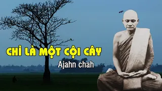 Ajahn chah - Chỉ Là Một Cội Cây - Thiền Sư Ajahn chah