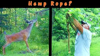 3 Important DO's and DON'Ts Licking Branches for Whitetail Deer: Do Deer Like Hemp Rope?