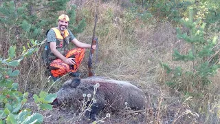 Mesudiye / Domuz Avı( Wild Boar Hunting )2022/2023 Sezonu.Yusuf TUNCER.